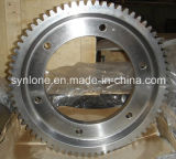 Special Machining Gear Shaft in China
