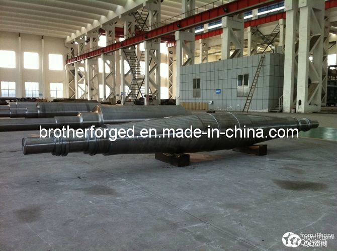 High Quality Forged Blower Shaft/Forging Blower Shaft