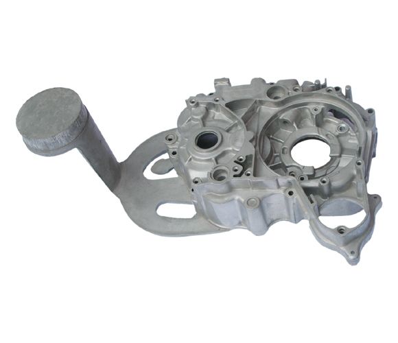 Aluminum Die Casting Part/Mould