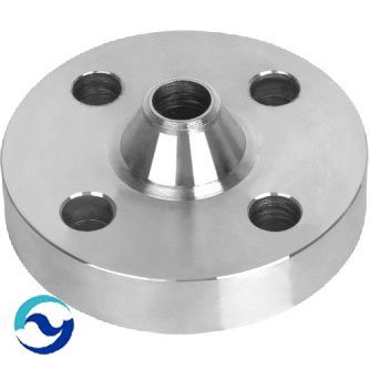 Stainless Steel Flange