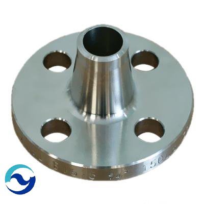 Stainless Steel Flanges