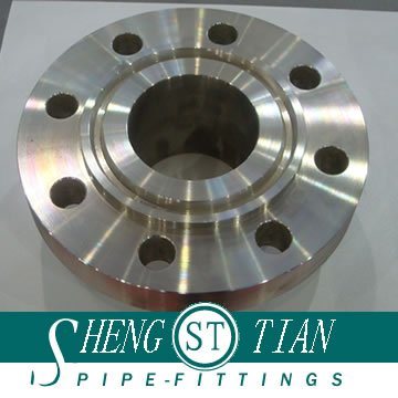 Ss304 Flange