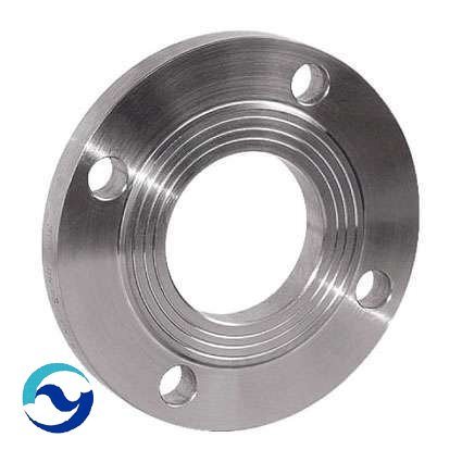 Stainless Steel Flanges