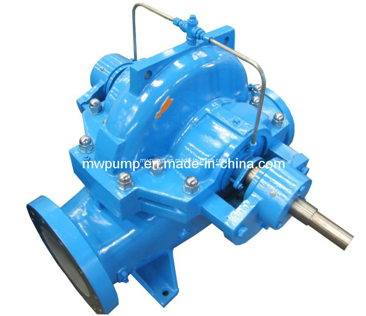 Raw Water Intake Pump