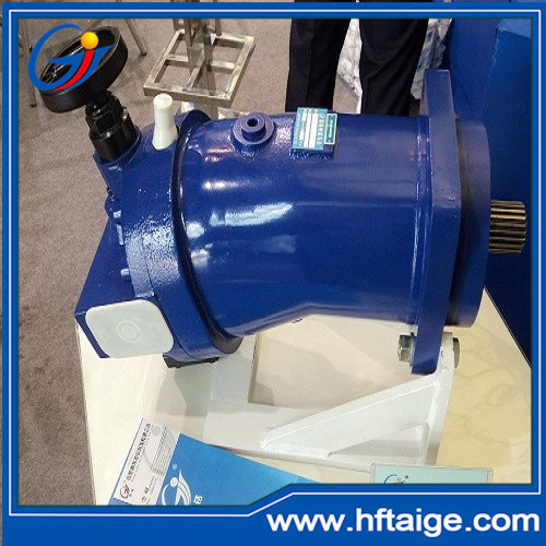 Swash Plate Designed Hydraulic Motor for Crane