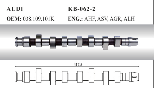 Camshaft for Audi (038.109.101K)