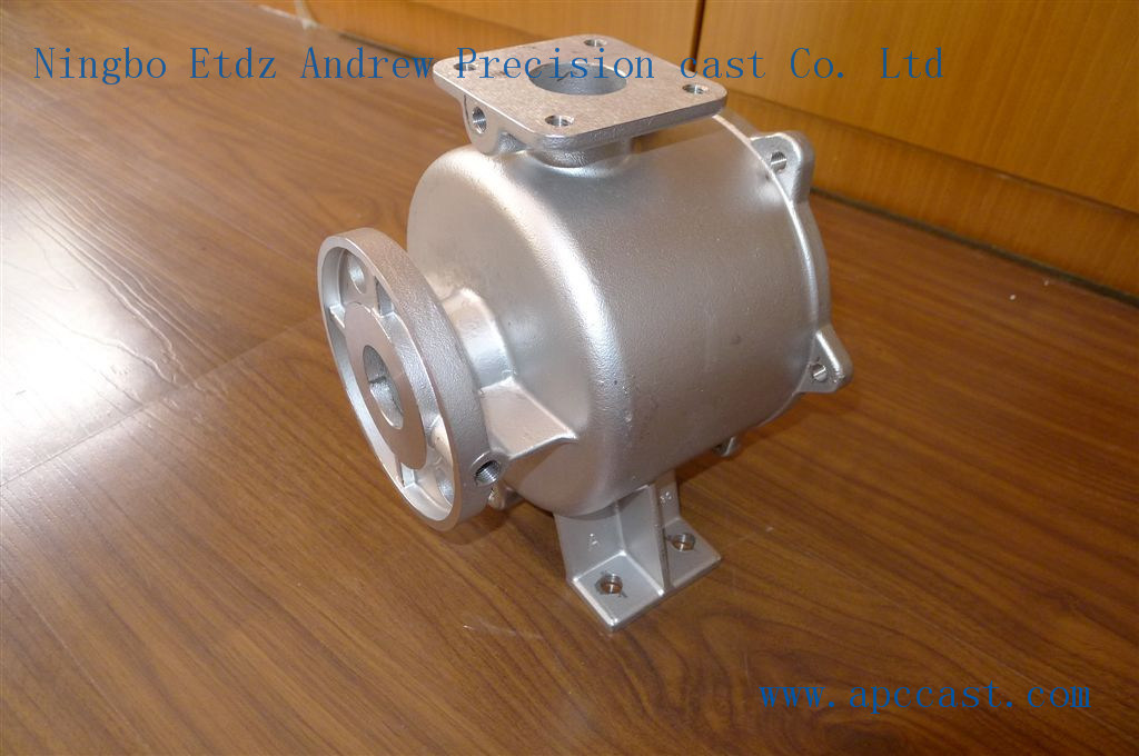 Stainless Steel Pump Part Precision Casting (104521)