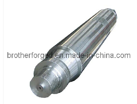 Forged Shaft/Forging Shaft/Flange