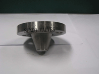 Flange