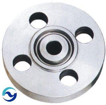 Stainless Steel Flange