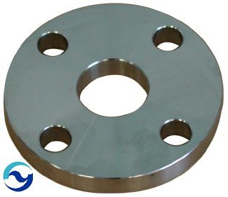 Stainless Steel Flanges