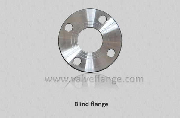 Casting Blind Flange