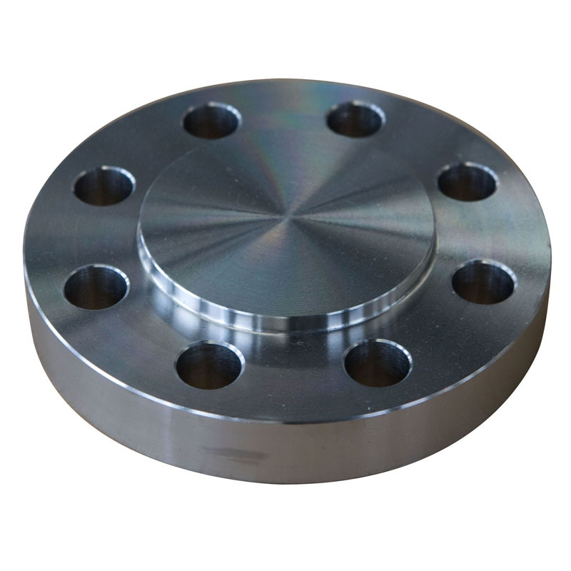 Stainless Steel Blind Steel Flange in 304