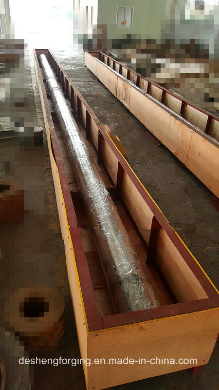 AISI 316L Shaft Forging (DNV 3.2 Inspection)