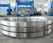 Bearing Ring Forgings