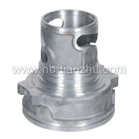 Metal Casting (TZ086)