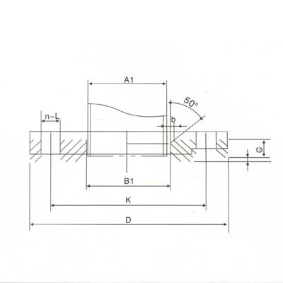 Welding Neck Flange