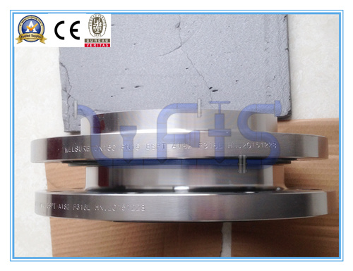 Stainless Steel F904 Welding Flange