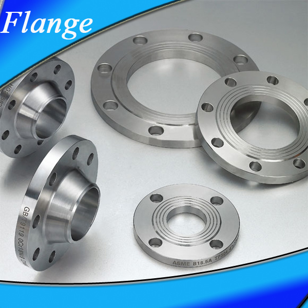 Stainless Steel Flanges