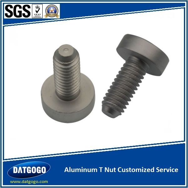 Aluminum T Nut with Customized Service