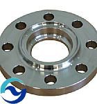 Stainless Steel Flanges