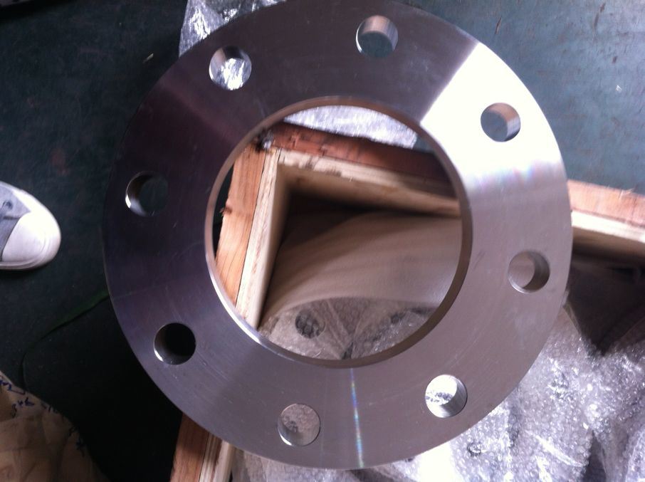 Acciaio Inox Plate Flange