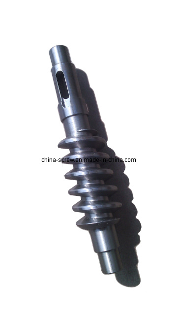 Worm Shaft