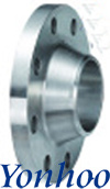 Weld Neck Flanges