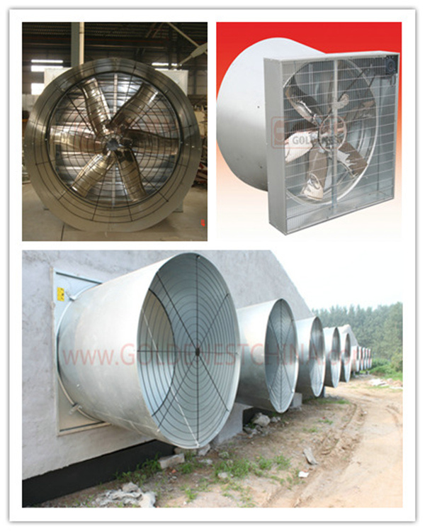 Fans/Hammer Exhaust Fan/Centrifugal Exhaust Fan/Butterfly Cone Fan