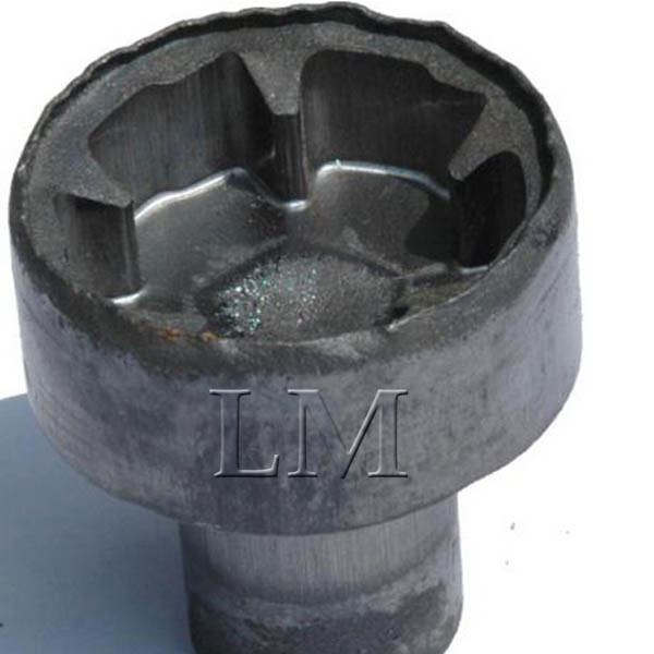 Cold Forging Rough Auto Parts