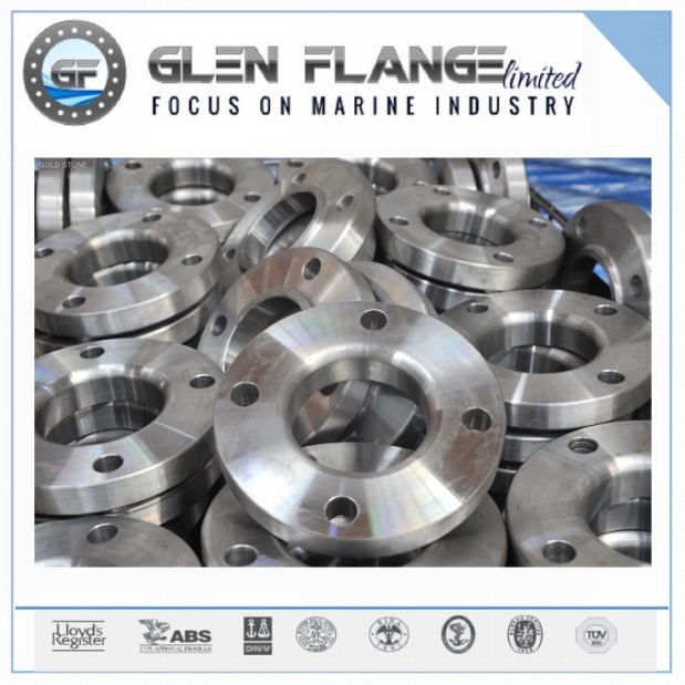 Stainless Steel Flanges