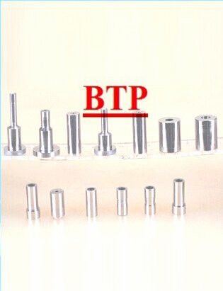 Carbide Cold Forging Mould Red Rods and Pins (BTP-R132)