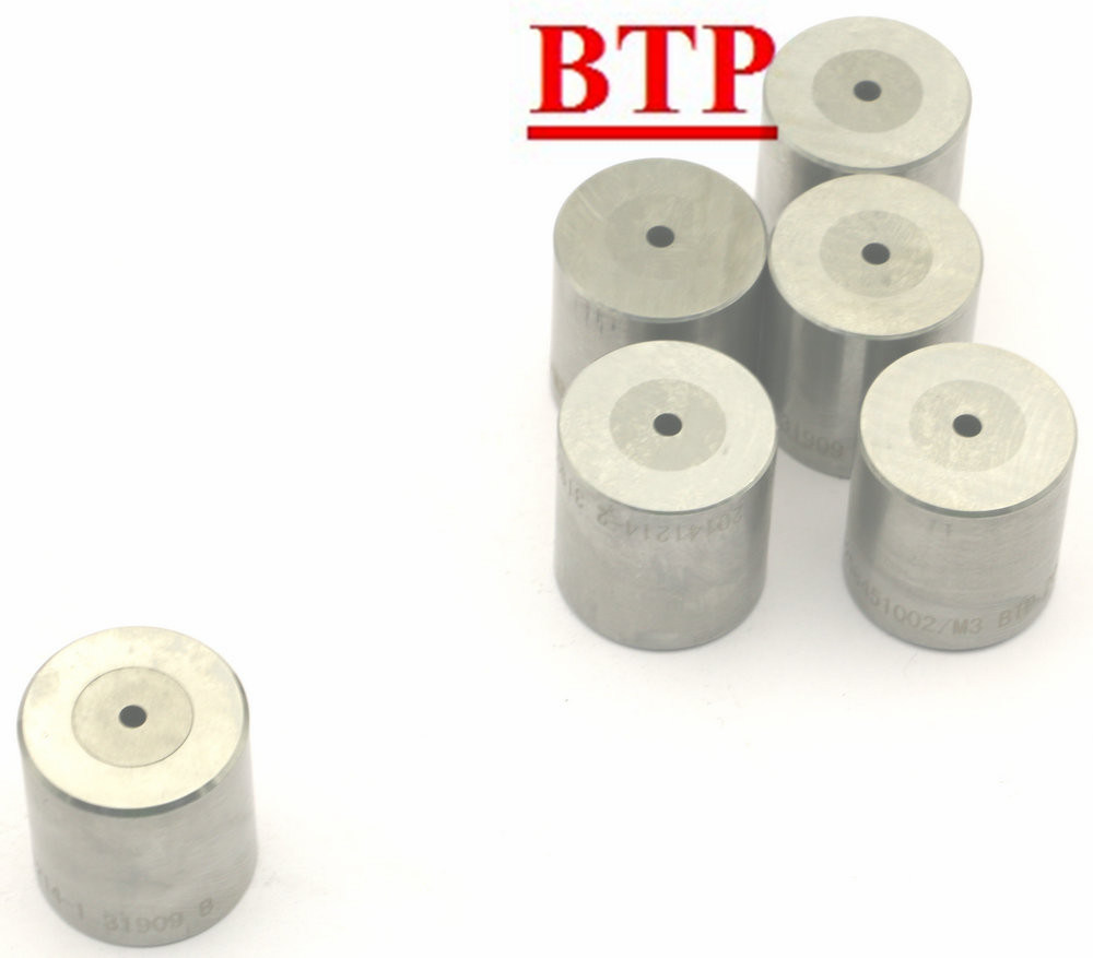 Cold Forging Die Fastener Tools Hardware Mould (BTP-D424)