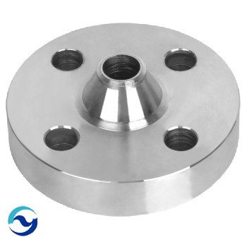 Stainless Steel Flanges