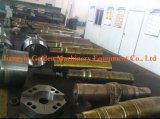 Roller Forging Stainless Steel