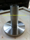 Long Welding Neck Flange Stainless Steel Flange